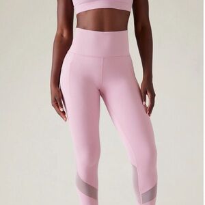 Salutation stash mesh tights new with tags